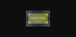 Nagatshu Medium Font Poster 1