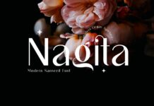 Nagita Font Poster 1