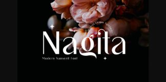 Nagita Font Poster 1