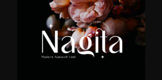 Nagita Font Poster 1