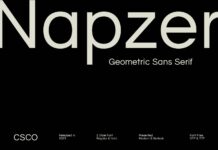 Napzer Font Poster 1