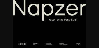 Napzer Font Poster 1