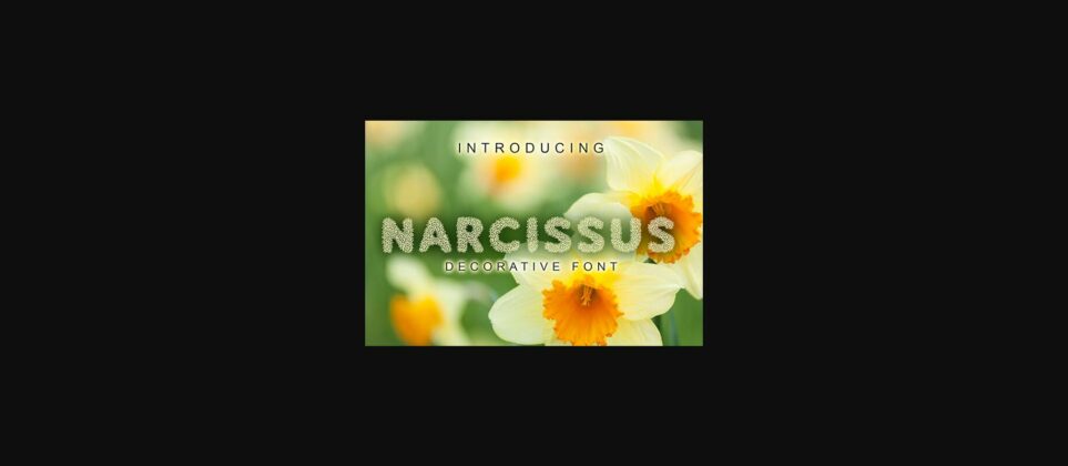 Narcissus Font Poster 3