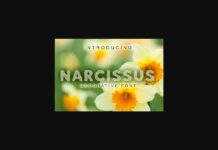 Narcissus Font Poster 1