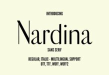 Nardina Font Poster 1