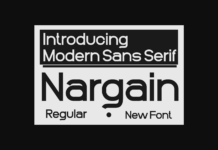 Nargain Font Poster 1