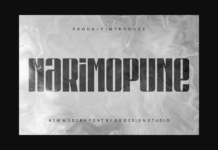 Narimopune Font Poster 1