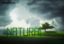 Natural Font Poster 1