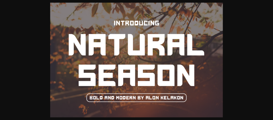 Natural Season Font Poster 3