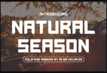 Natural Season Font Poster 1