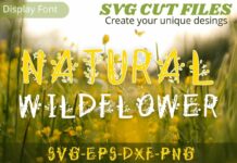 Natural Wildflower Font Poster 1