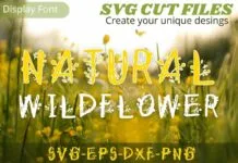 Natural Wildflower Font Natural Wildflower Font Poster 1