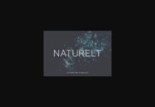 Naturelt Font Poster 1