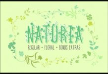 Naturia Font Poster 1