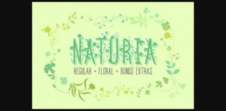Naturia Font Poster 1