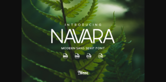 Navara Font Poster 1