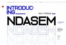 Ndasem Font Poster 1