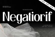 Negatiorif Font Poster 1