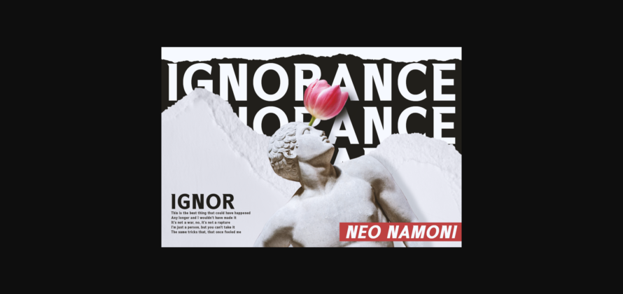 Neo Namoni Font Poster 7