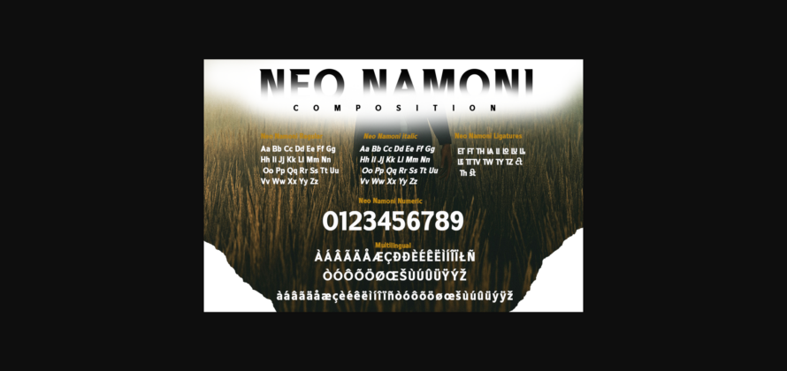 Neo Namoni Font Poster 9