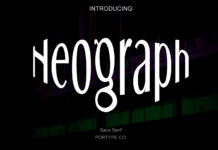 Neograph Font Poster 1