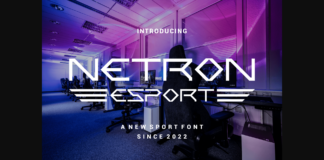 Netron Font Poster 1