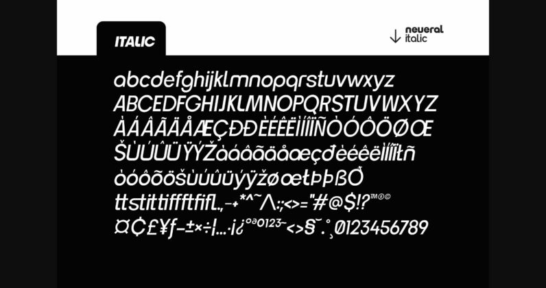 Neueral Grotesk Variable Font Poster 5