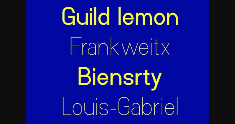 Neuffila - Grotesk Sans Family Font Poster 11