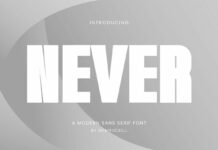 Never Font Poster 1