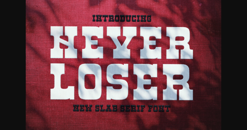 Never Loser Poster 3