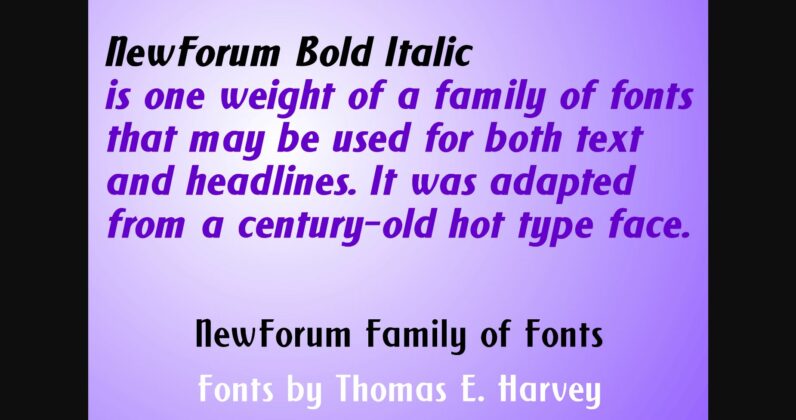 New Forum Bold Italic Font Poster 5