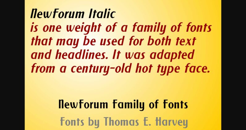 New Forum Italic Font Poster 5