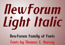 New Forum Light Italic Font Poster 1