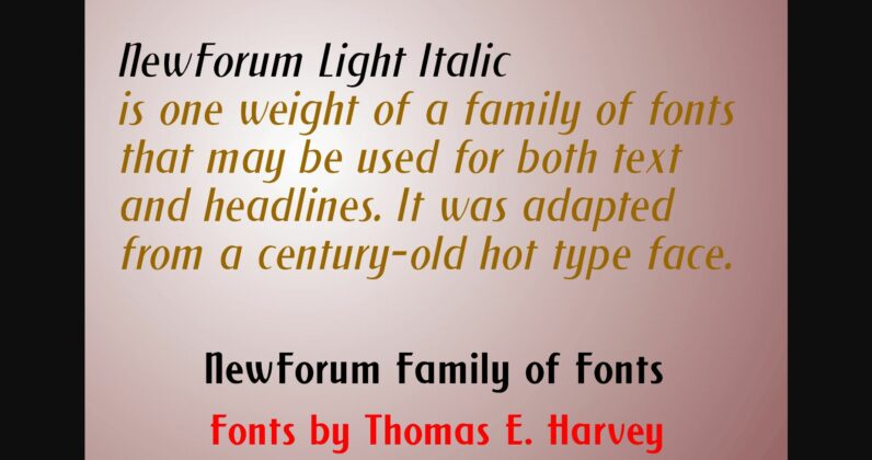 New Forum Light Italic Font Poster 5