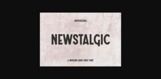 Newstalgic Font Poster 1