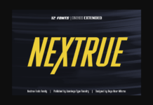 Nextrue Font Poster 1