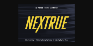 Nextrue Font Poster 1