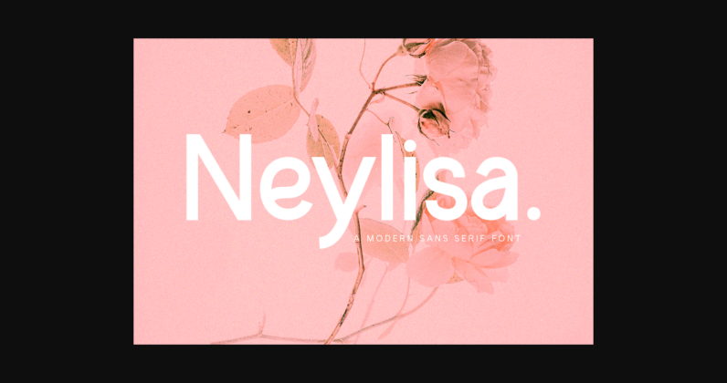 Neylisa Font Poster 3