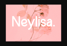 Neylisa Font Poster 1