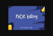 Nice Broy Font Poster 1