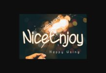 Nice Enjoy Font Poster 1