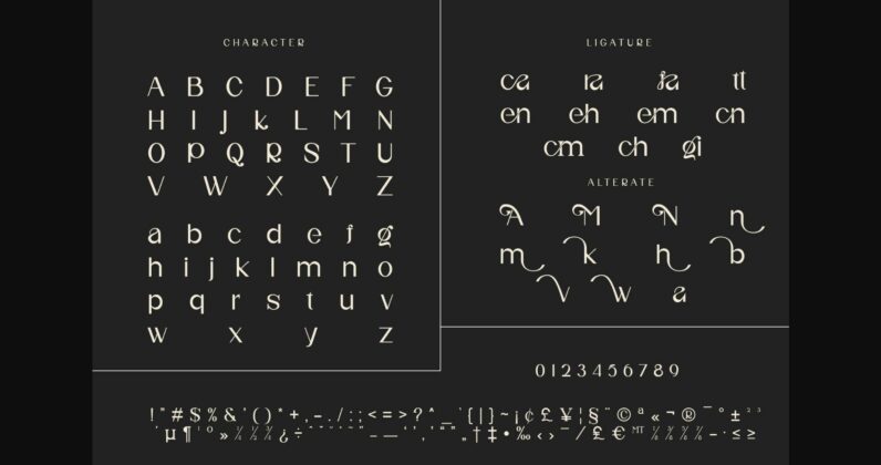 Nifa Font Poster 11