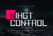 Night Control Poster 1
