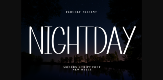 Nightday Font Poster 1