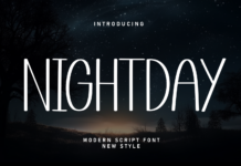 Nightday Font Poster 1