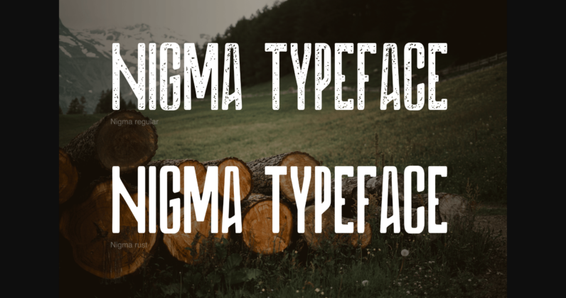 Nigma Font Poster 5