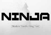 Ninja Font Poster 1