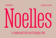 Noelles Poster 1