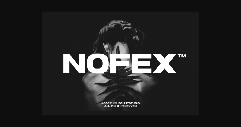 Nofex Font Poster 3