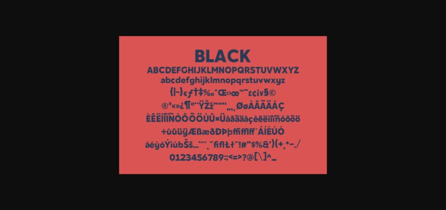Noiche Font Poster 8